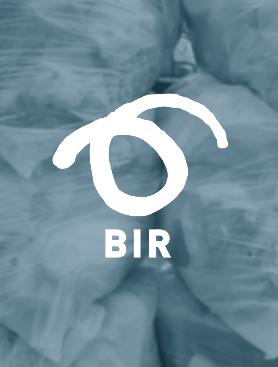BIR Sitat 3x4