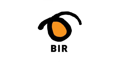 Bir bergen logo midt - jpg