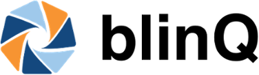 Blinq logo horisontal-1