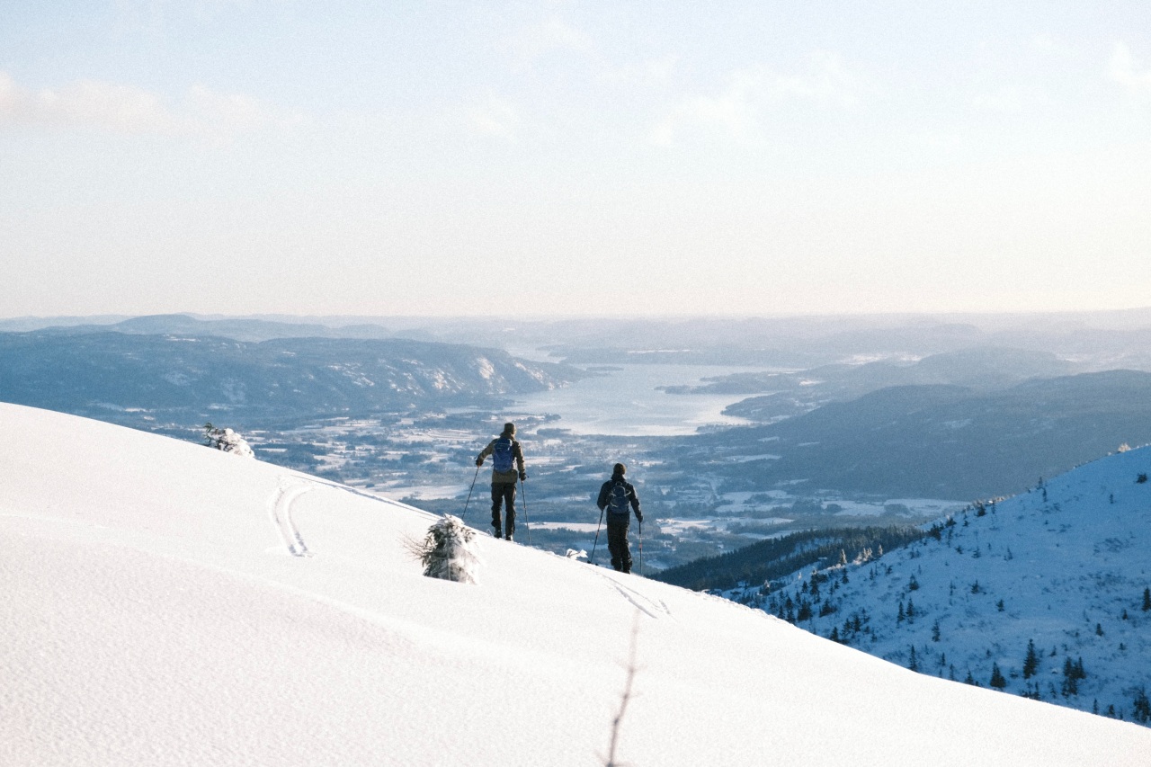 Two skiers on a mountain top