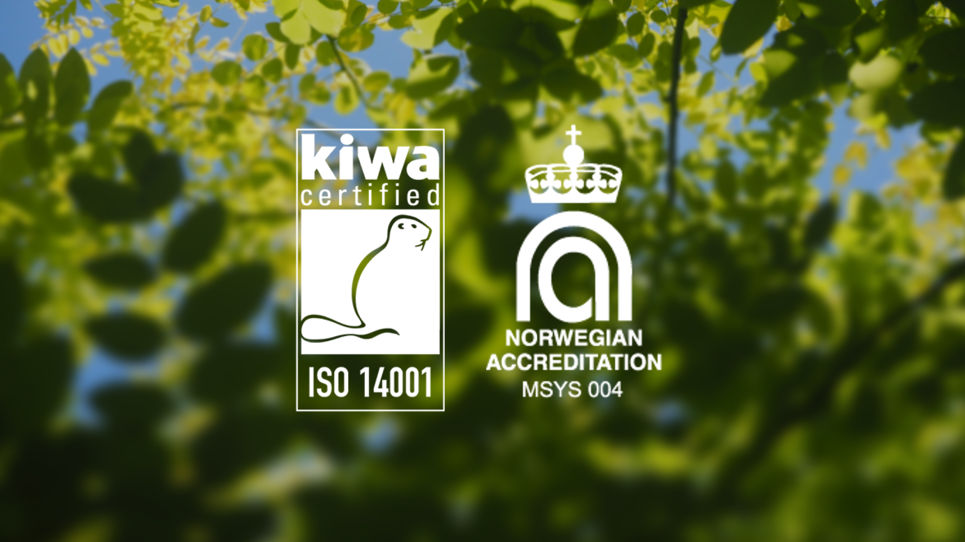 ISO 14001 - Netsecurity