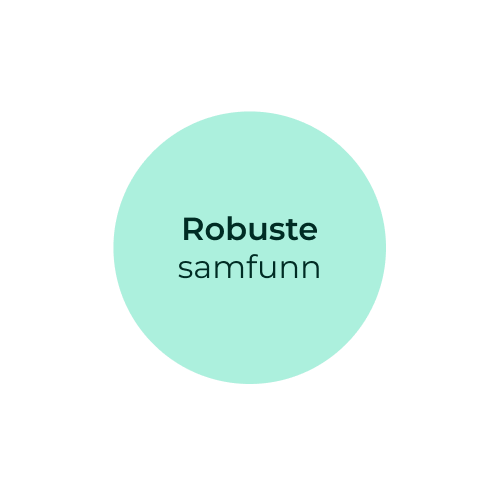 Robuste samfunn 1x1