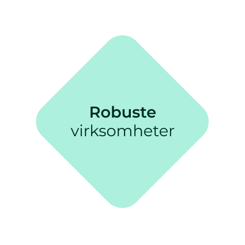 Robuste virksomheter 1x1