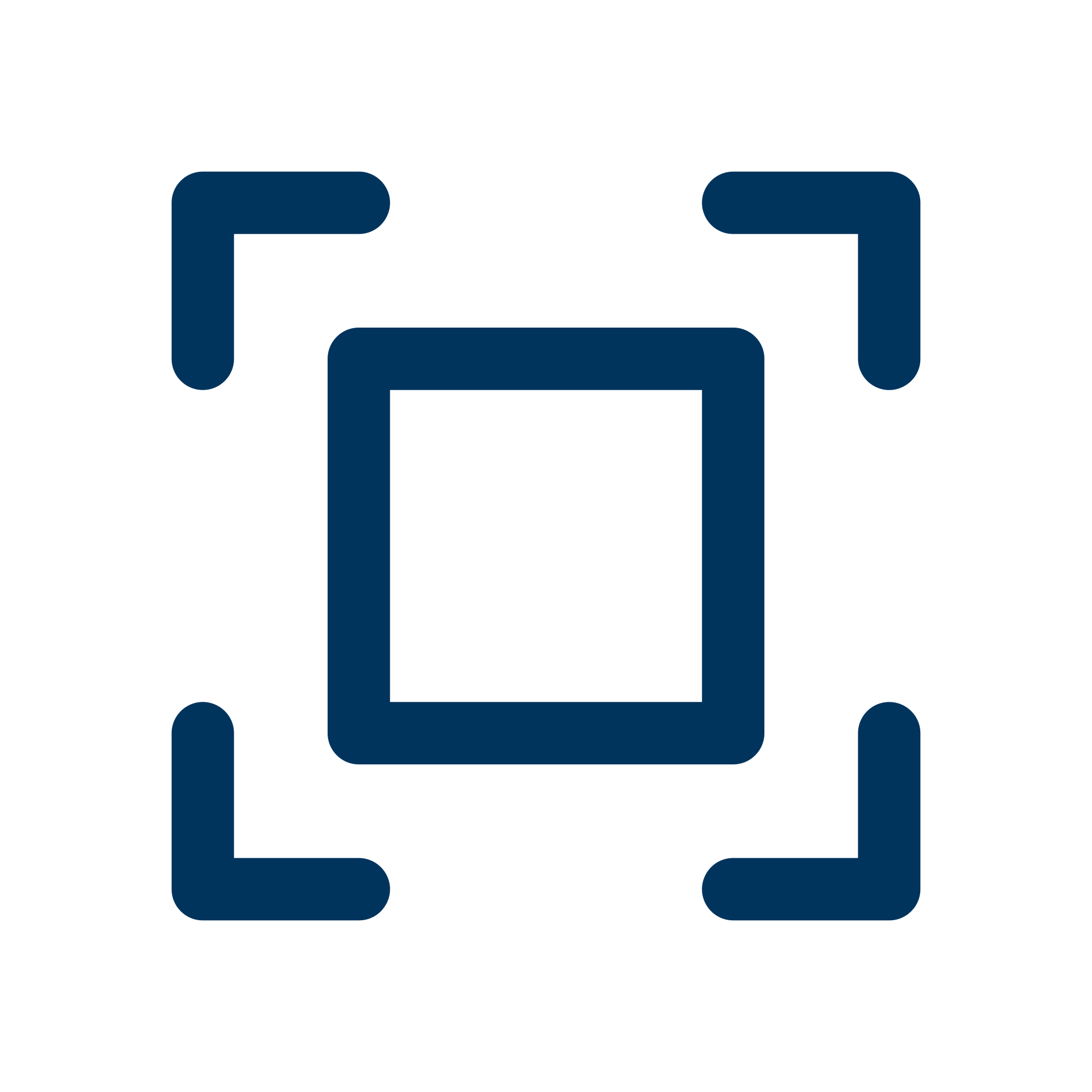 Scan Icon Animation V2