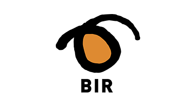 bir-logo-png-transparent-3