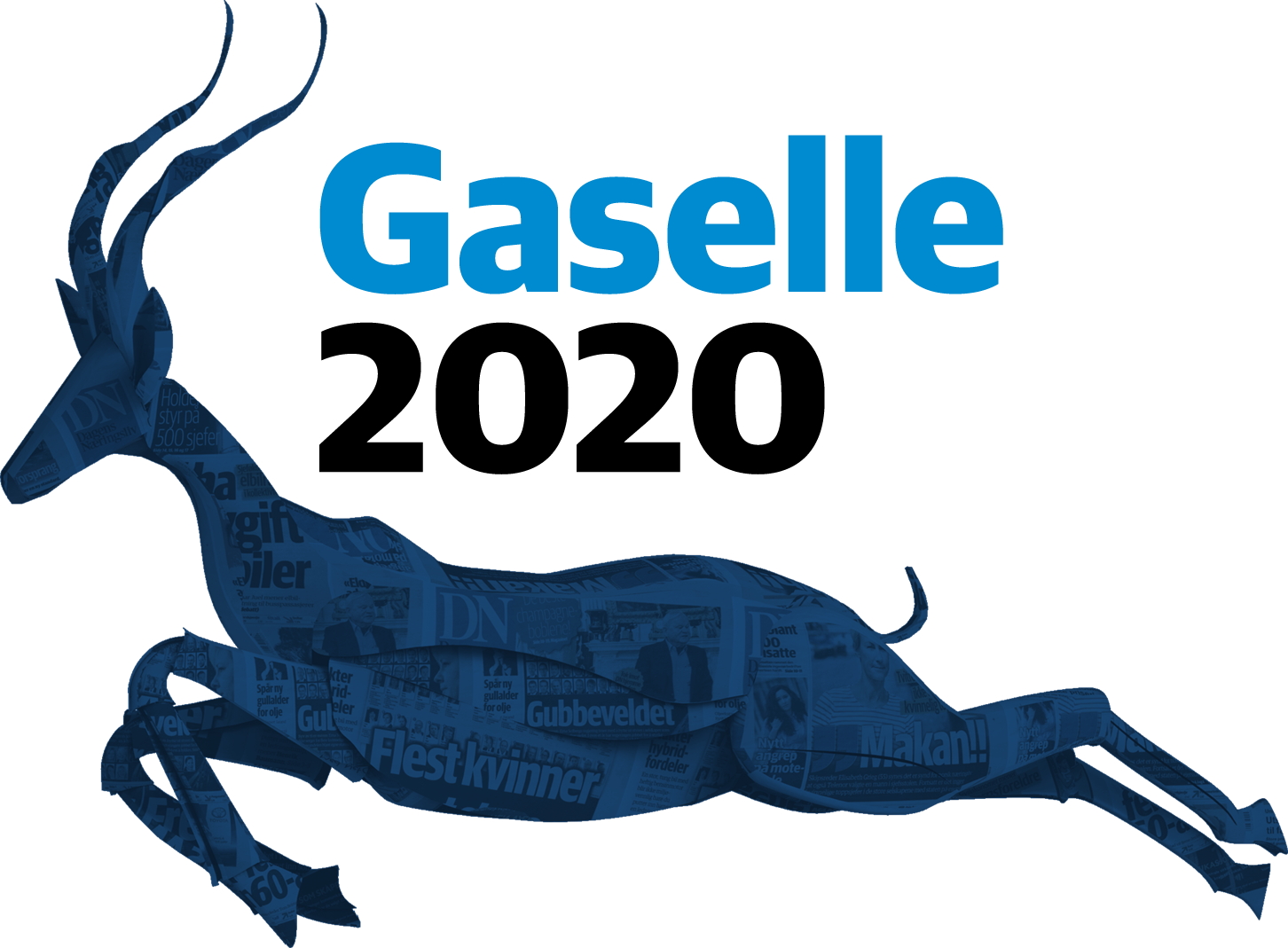 gaselle-web