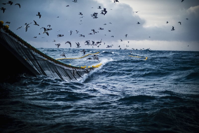 Norwegian ocean fishing