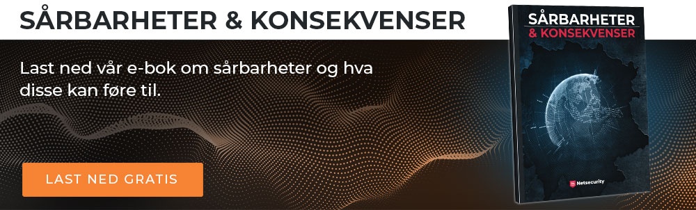 Gratis e-bok: Sårbarheter og konsekvenser