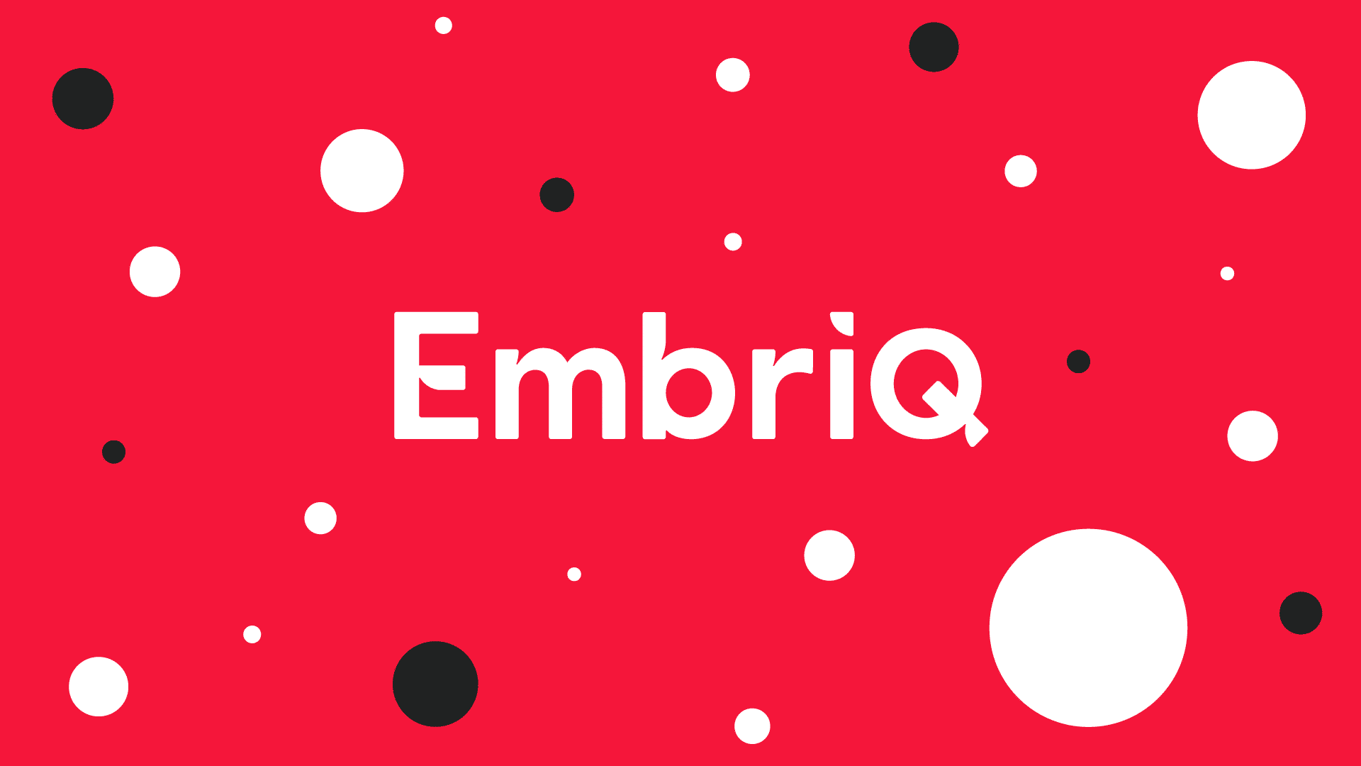 Embriq Kundecase