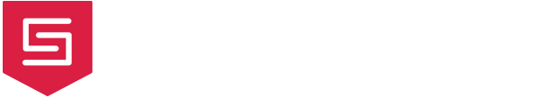 Netsecurity white logo