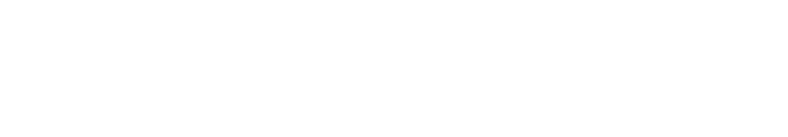 Netsecurity Logo Hvit